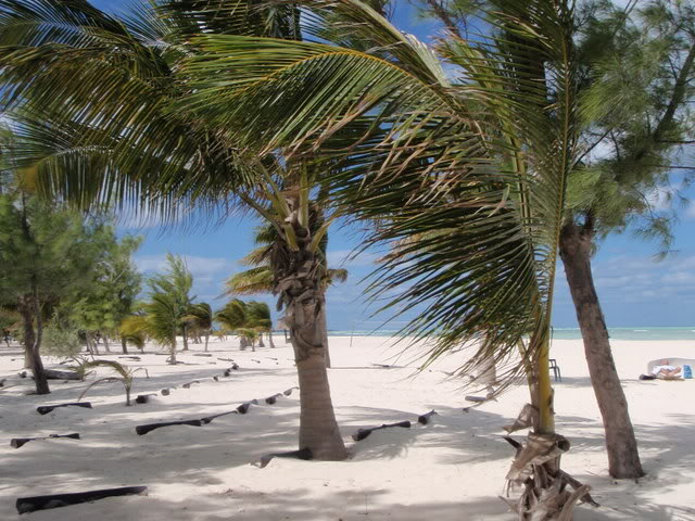 Independence of the Seas Fort Laud, Belize, Costa Maya, Coz A0bc3676