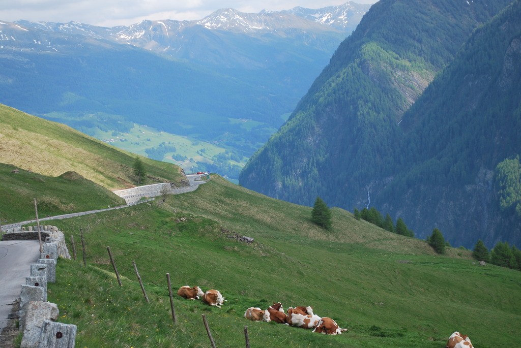 Transalpina 2015 Transalpina%20580_zpshuqr9jod