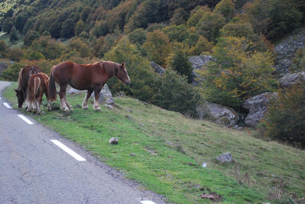 Midi-Pyrénées para desanuviar  :) Pirineus580_zps34ed1bfc