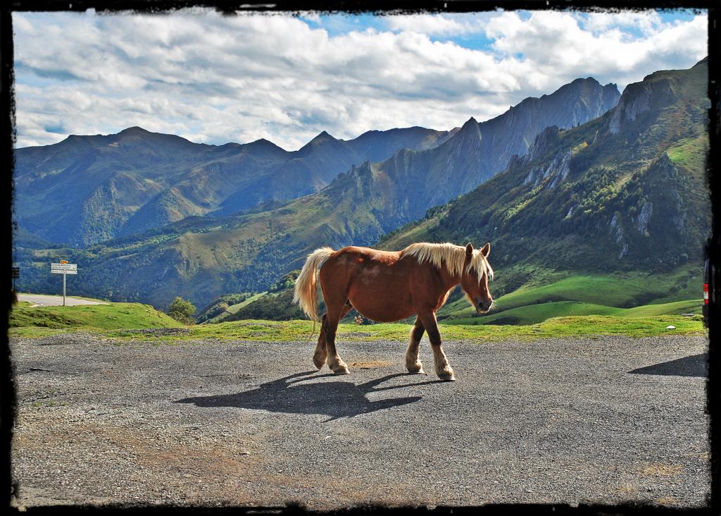 Midi-Pyrénées para desanuviar  :) Pirineustratada20_zpsaa55eb1b