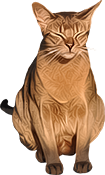 Вълшебна менажерия. Cat_png_with_transparent_background_1_by_meinlilapark-d52tj0r