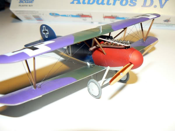 Albatros DV Eduard AlbatrosDVfinished