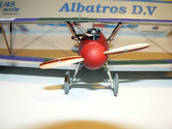 Albatros DV Eduard AlbatrosDVfinished1
