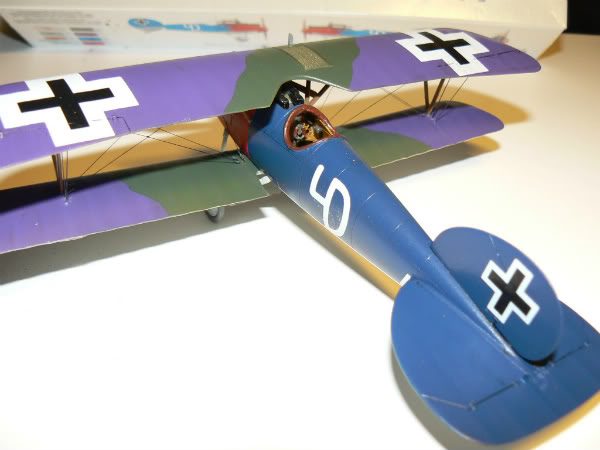 Albatros DV Eduard AlbatrosDVfinished3