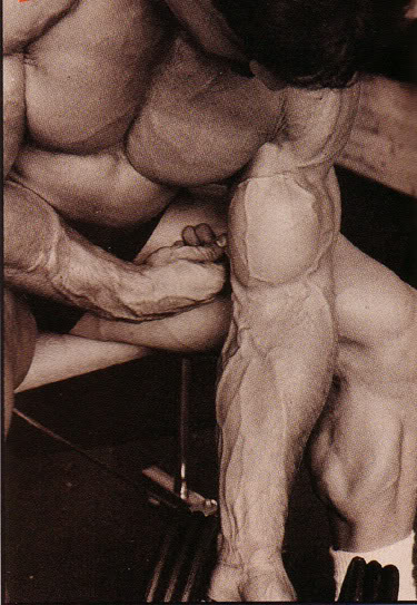 Mike Mentzer 13930d96