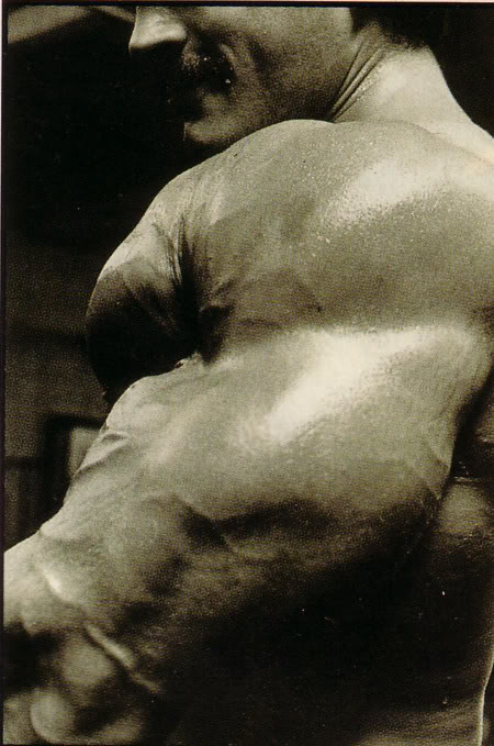 Mike Mentzer 833395c3