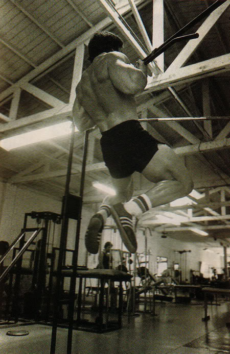 Mike Mentzer D02f5ae7