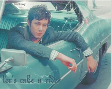 Seth Cohen / Adam Brody Brody-1