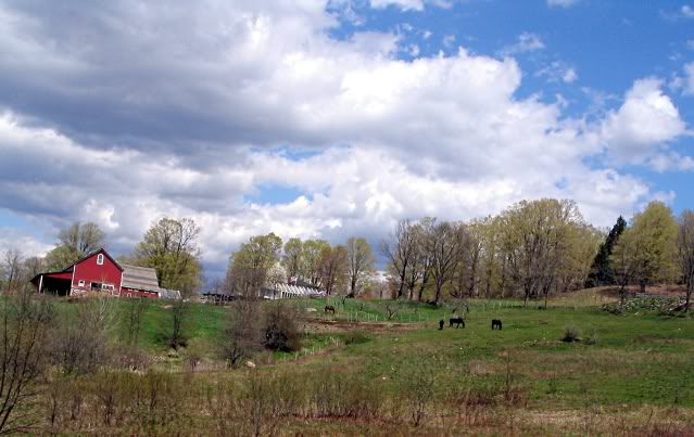 Took a ride to Western Mass today Shelburnefarm