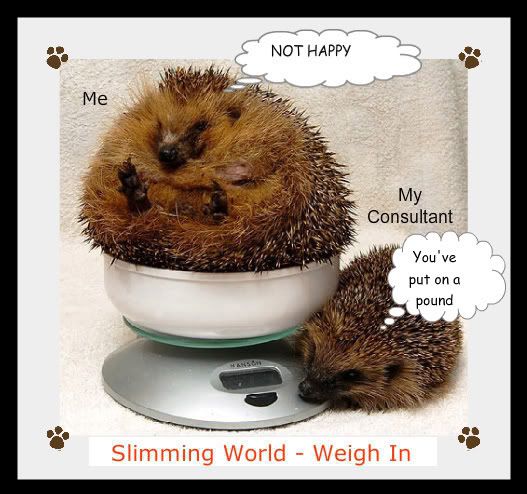 15.12.08 - Day 22 Slimming World Fatttthedgehog-1-1