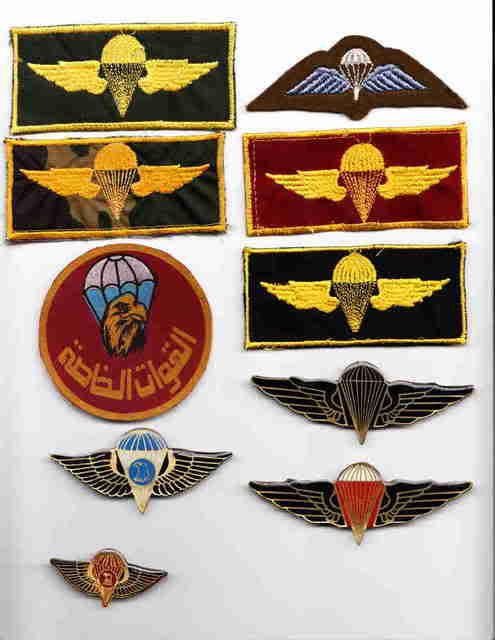 Saddam Era Iraqi insignia (originally posted by bullseye) Saddam1