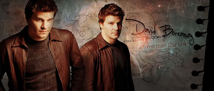 Galera de Eva David-Boreanaz-1