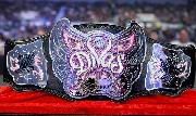 Raw Champions Wwwdivaschampionship1