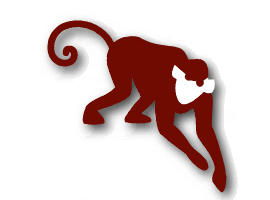 Chinese Astrology Monkey_big