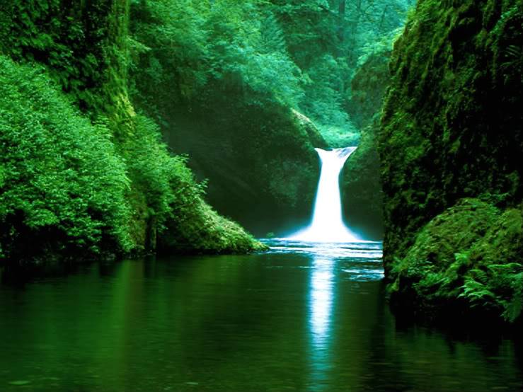 Mystic Phantasm ~RP~ Forest_Waterfall_xl