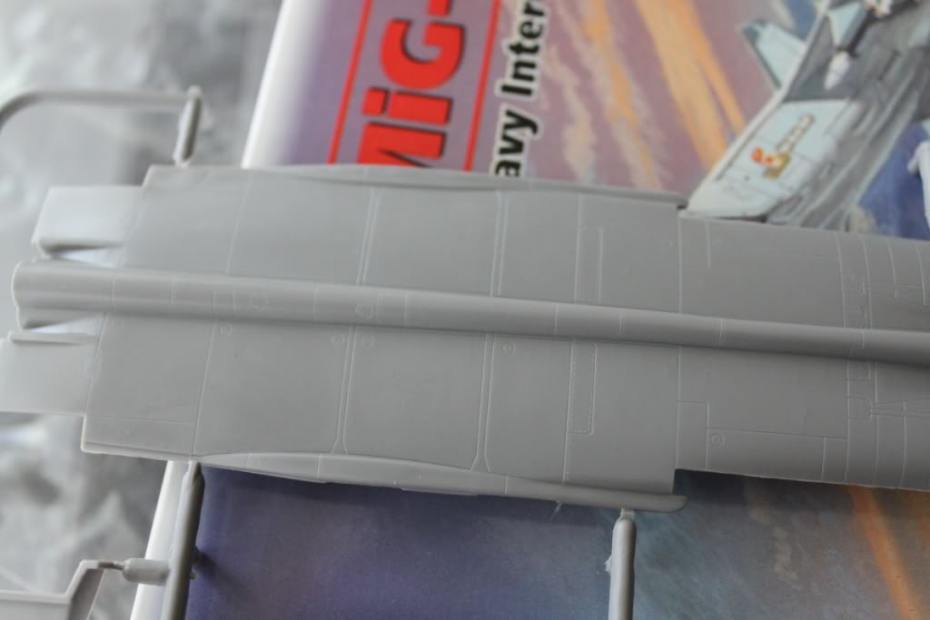 MiG25-PD Foxbat [ICM] 1/72 IMG_5766