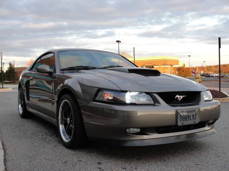 My Cobra Parts & Wing Deleted Trunk Installed!! DSC04014