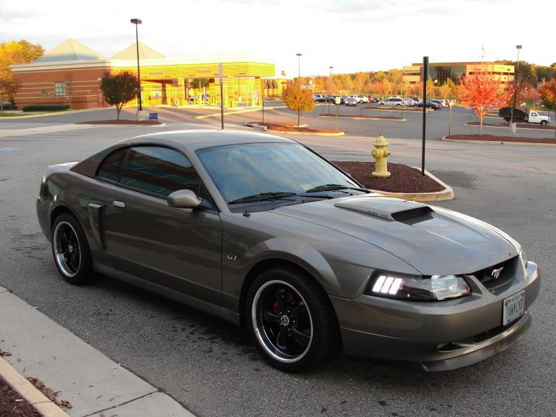 My Cobra Parts & Wing Deleted Trunk Installed!! DSC04015