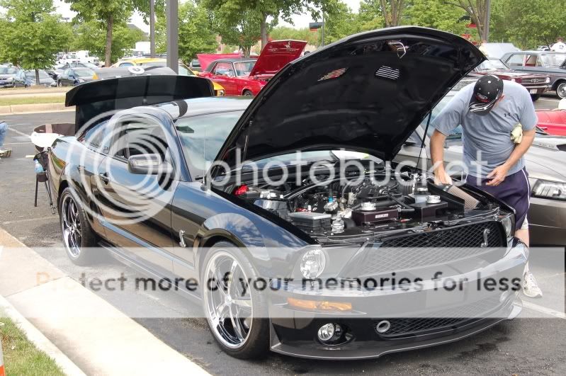 First car show with the Cobra... DSC_0135