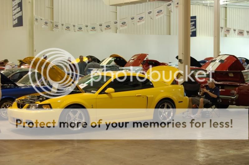 First car show with the Cobra... DSC_0146