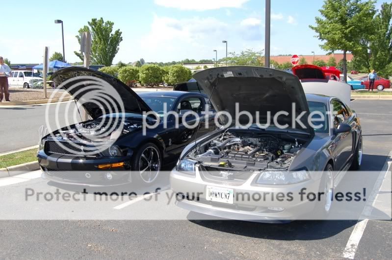 First car show with the Cobra... DSC_0177