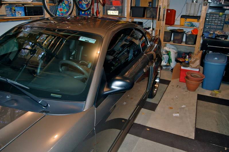 Cobra Rocker Panels and Mirrors!! Updated w/Pics! DSC_0184-1