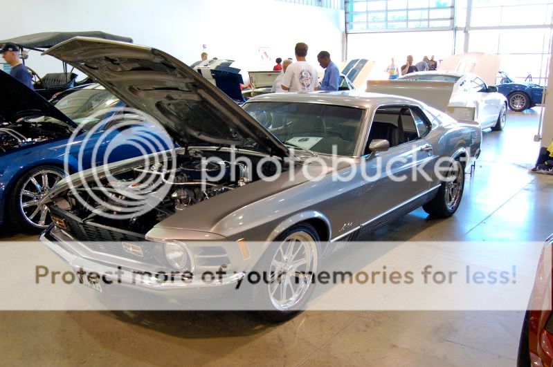 First car show with the Cobra... DSC_0188