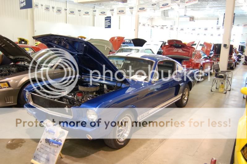 First car show with the Cobra... DSC_0260