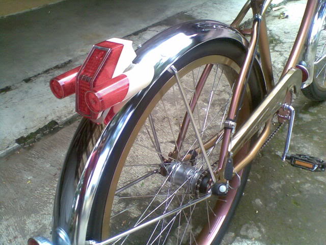 Chameleon Cruiser 100% complete Tembembbgt293