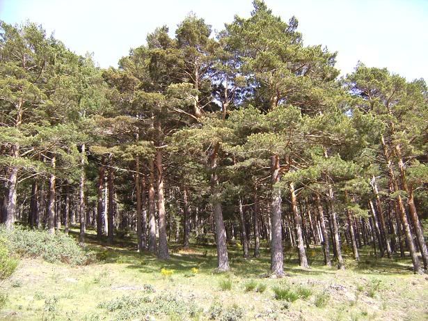 turismo por la sierra de madrid 1