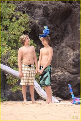 Sprouse Bros's pictures!! - Page 5 DylanandColeSprousewithaparrotatHaw