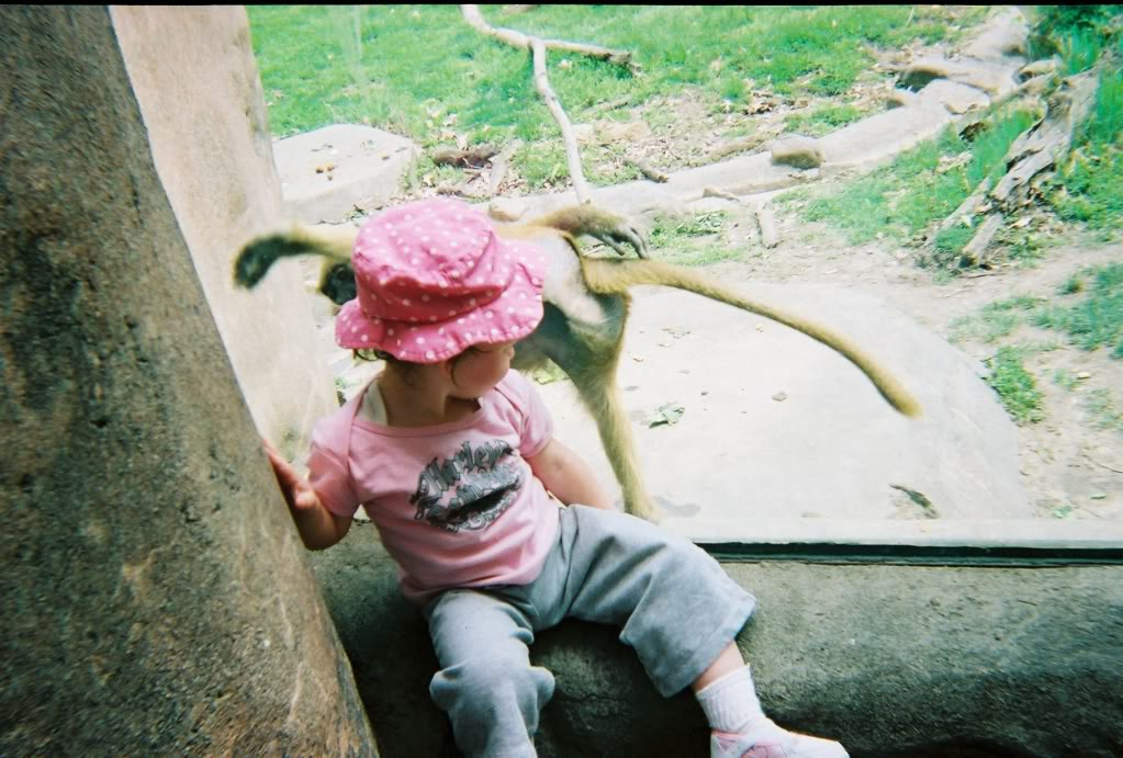 some pics of me and the family at the kc zoo 049862-R1-06-6A