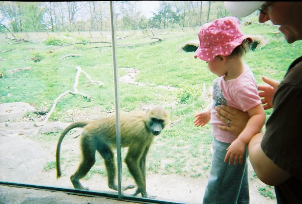 some pics of me and the family at the kc zoo 049862-R1-07-7A