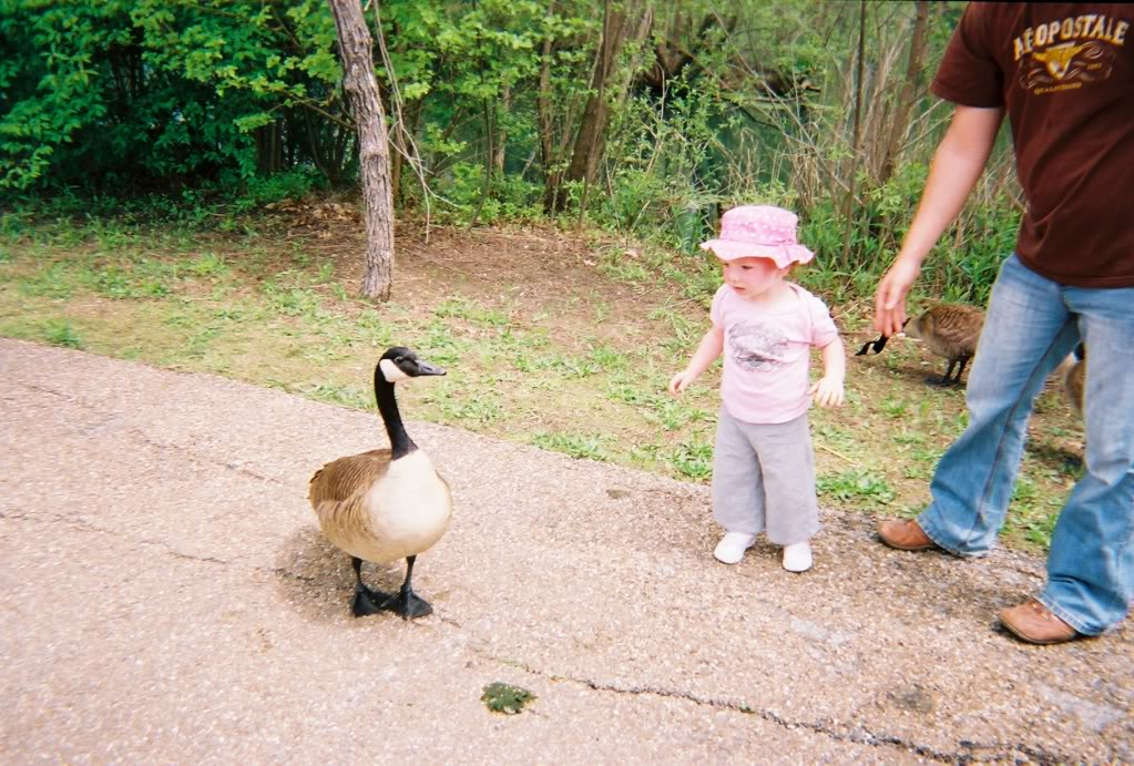 some pics of me and the family at the kc zoo 049862-R1-08-8A