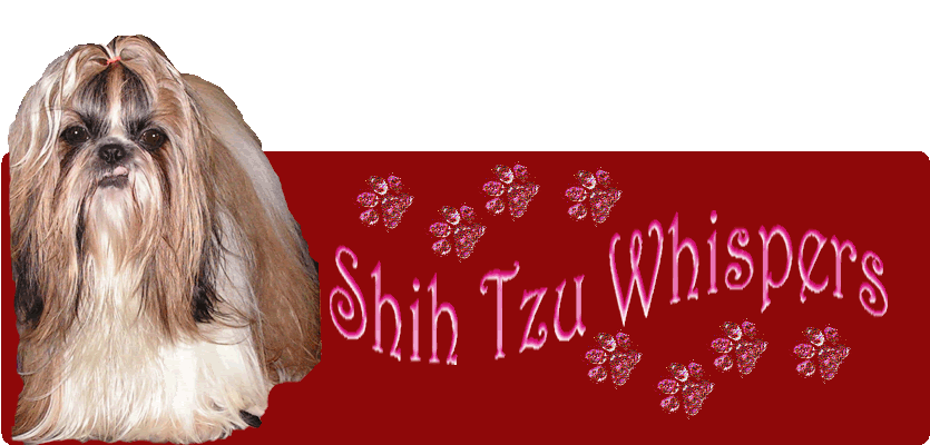 Shih Tzu Whispers Forum