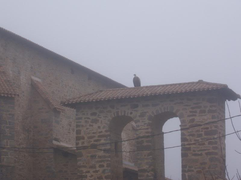 DIA 3 ENERO SIERRA BADAYA Y BAJAR AL VALLE DE ZUIA DSCF0136