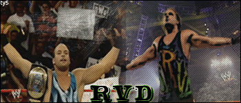 Negocio de RVD RVD-ty5