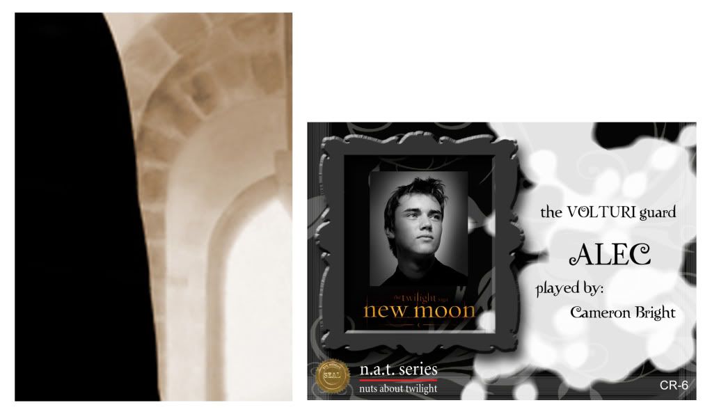 New Moon trading card CR6layout