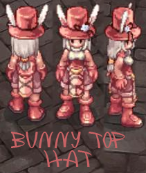 Guia Ilustrada de Hats2 Bunnytop