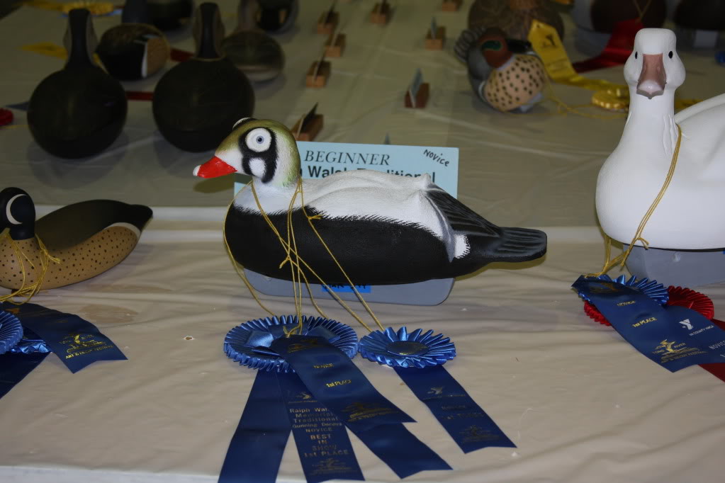 Toms River, NJ decoy show 1stplacenovice1-15-12