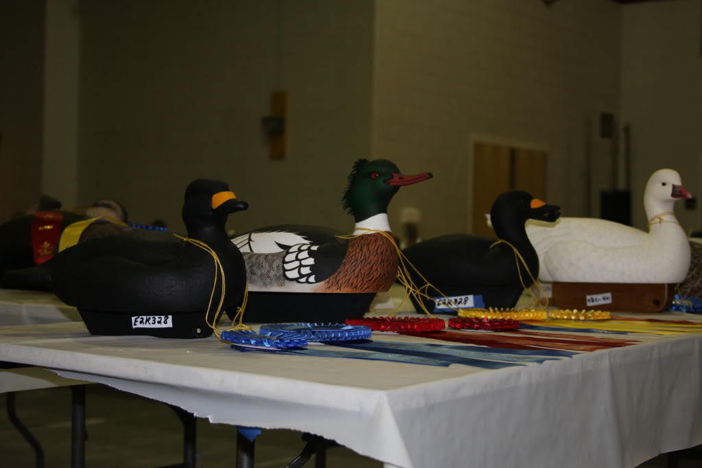 Toms River, NJ decoy show Scottgreenblackscoters1-15-12