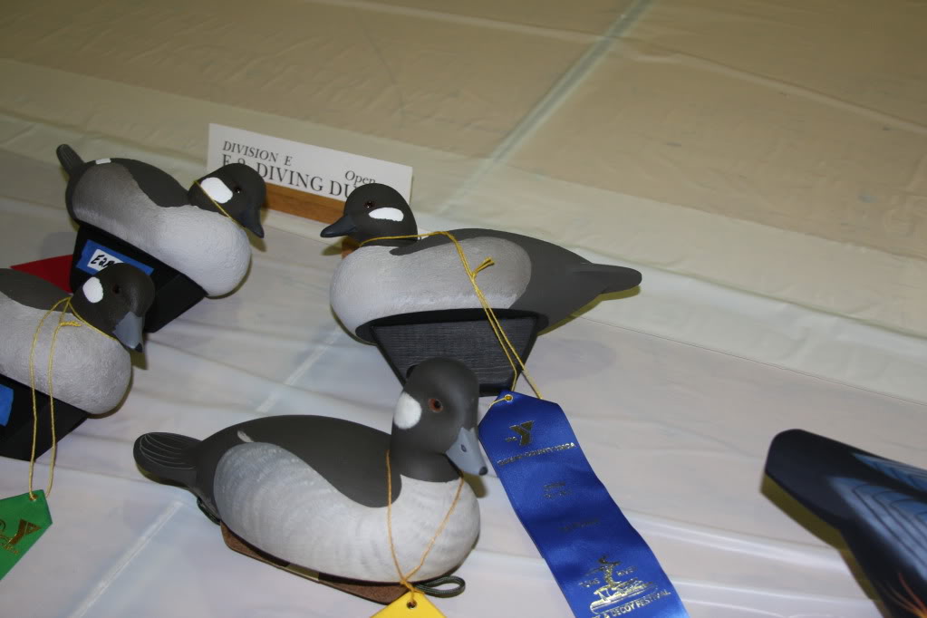 Toms River, NJ decoy show Scottgreenhenbufflehead1-15-12