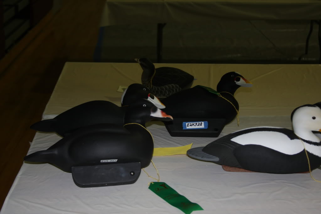 Toms River, NJ decoy show Scottgreenscurfscoters1-15-12