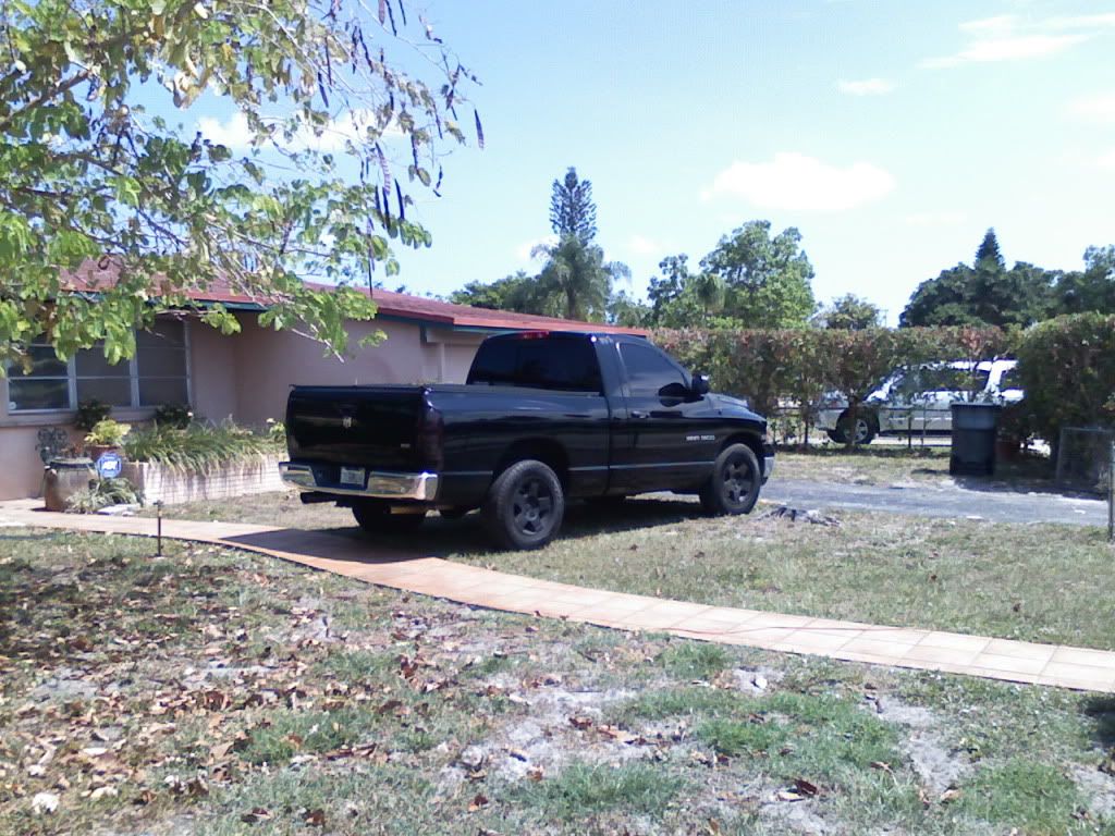 tinted the tail light Trucktint-5