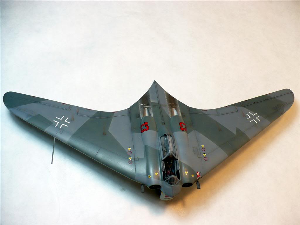 1/72 - Horten Go 229 P1020760Large