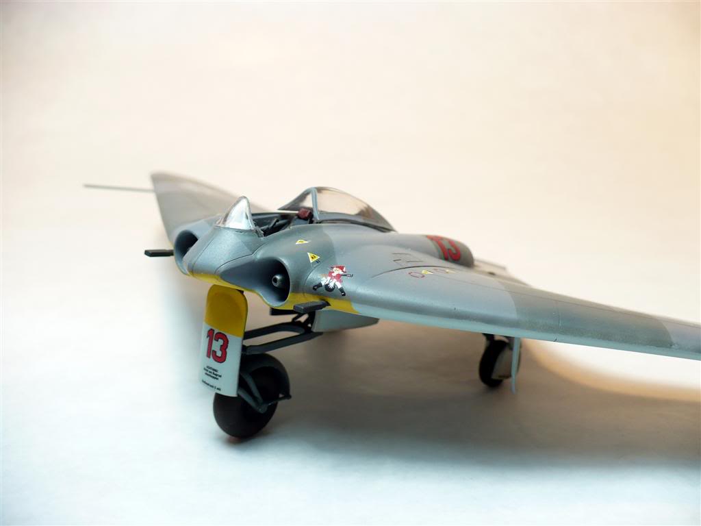 1/72 - Horten Go 229 P1020773Large