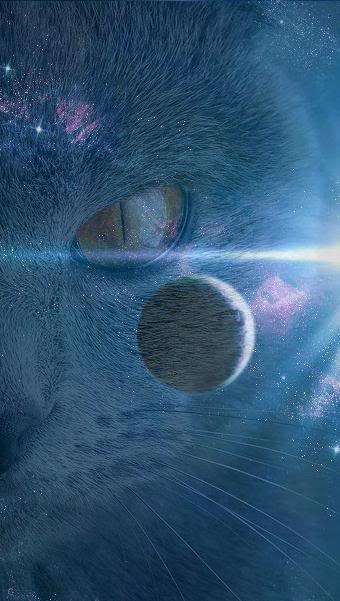 Cool Warriors Pictures! StarClan20Cat