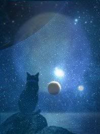 Cool Warriors Pictures! StarClan_Looking