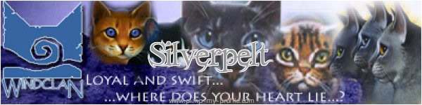 SilverPelt