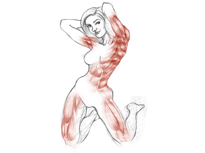 Girl Anatomy 03 M_Mix